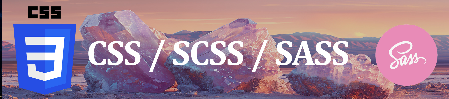 SoftZone computer training center